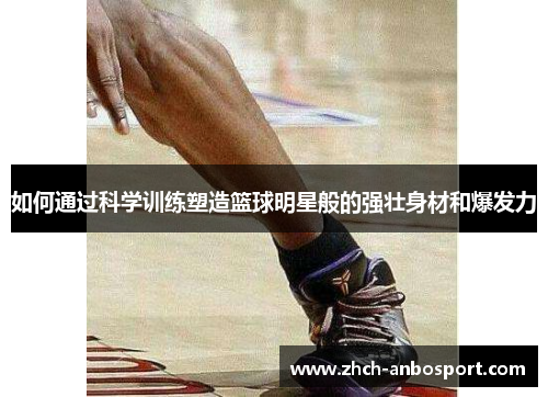 如何通过科学训练塑造篮球明星般的强壮身材和爆发力