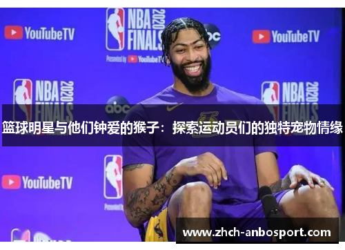 篮球明星与他们钟爱的猴子:探索运动员们的独特宠物情缘