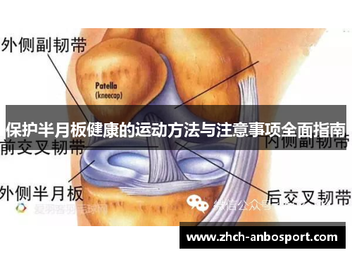 保护半月板健康的运动方法与注意事项全面指南